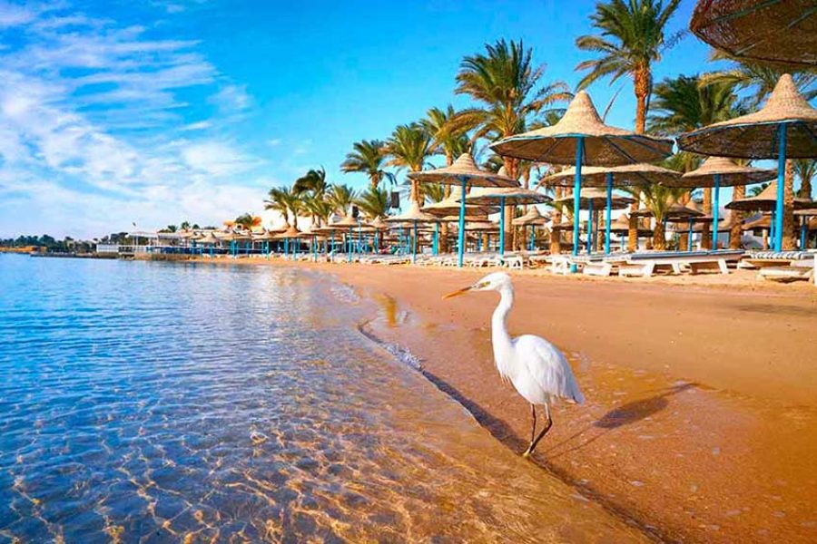 Tour in Hurghada