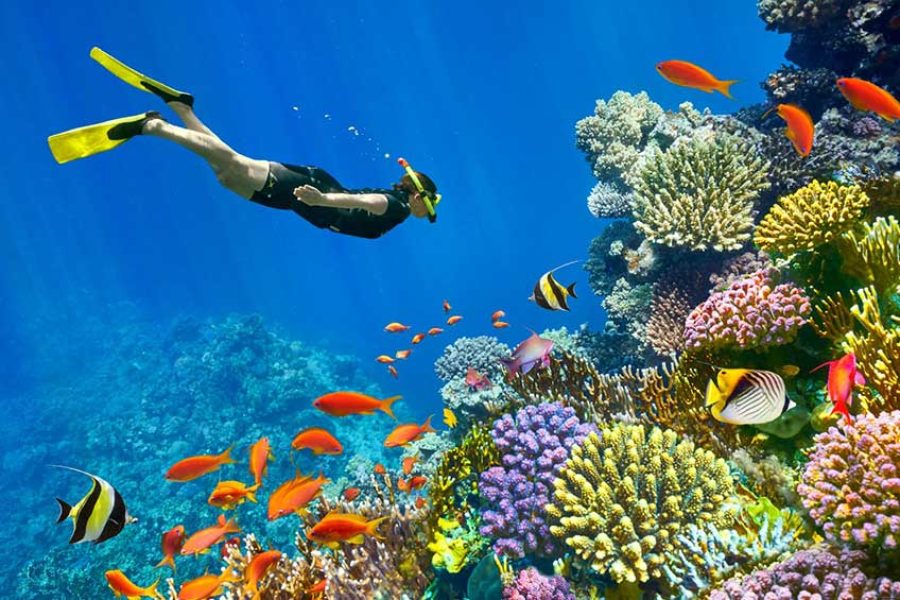 Tour in Sharm El Sheikh