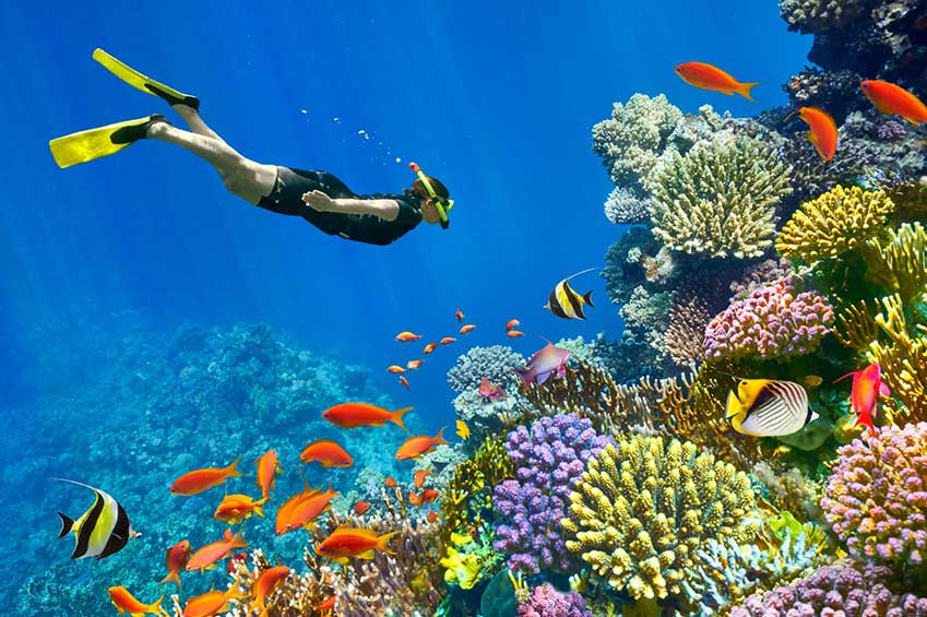 Sharm El Sheikh