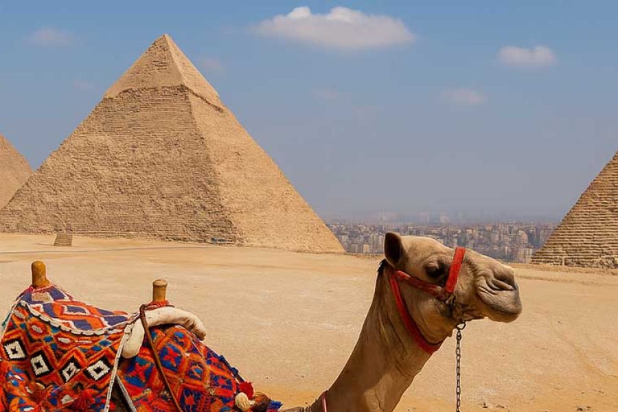 Cairo by Bus: Pyramids, Nile & Old Souk Adventure